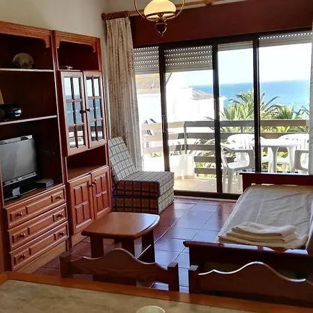 Coral Da Rocha 3